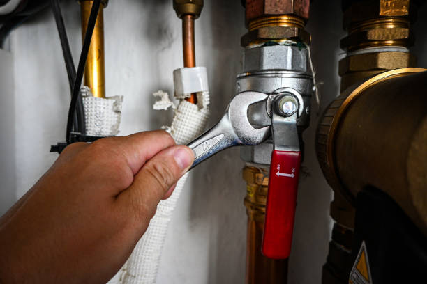 Best Emergency Plumbing Repair  in Georgiana, AL